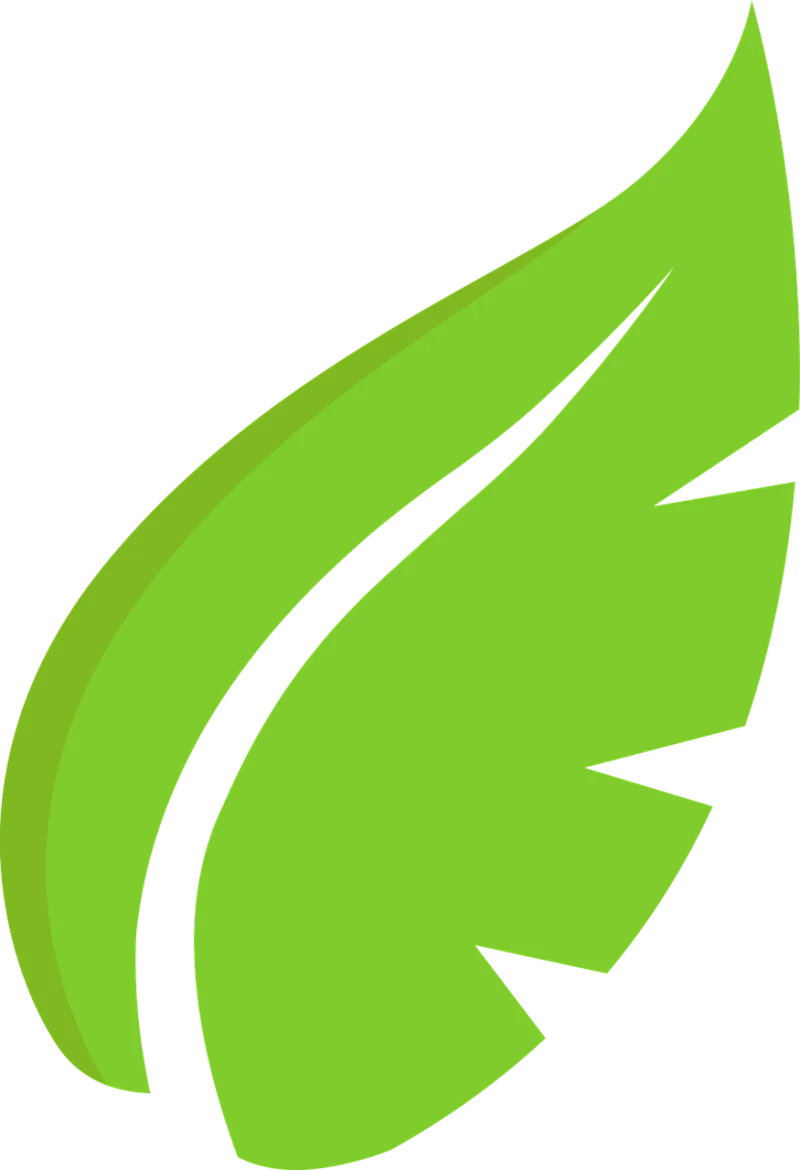 Leaf Plant Green Stickdatei – Natur
