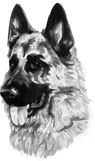 Dog Pet Animal Stickdatei