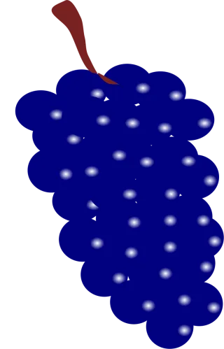 Grapes Blue Fruit Stickdatei