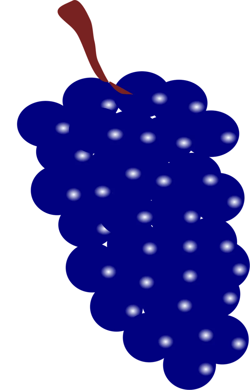Grapes Blue Fruit Stickdatei – Essen & Trinken