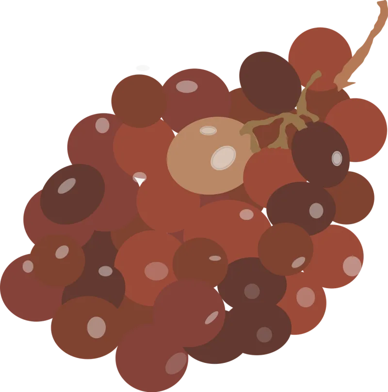 Grapes Red Brown Stickdatei – Essen & Trinken