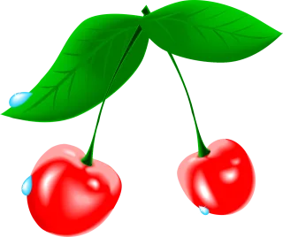 Cherry Fruit Waterdrops Stickdatei