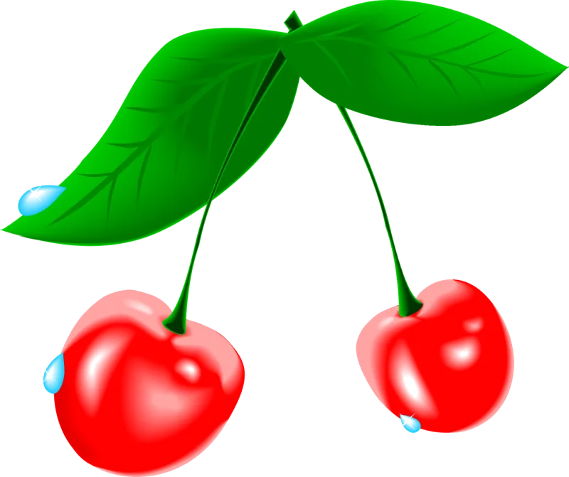 Cherry Fruit Waterdrops Stickdatei – Essen & Trinken