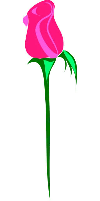 Rose Flower wallpaper Flower Stickdatei