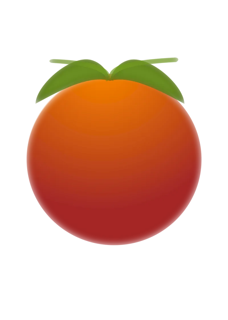 Orange Fruit Citrus Stickdatei – Essen & Trinken
