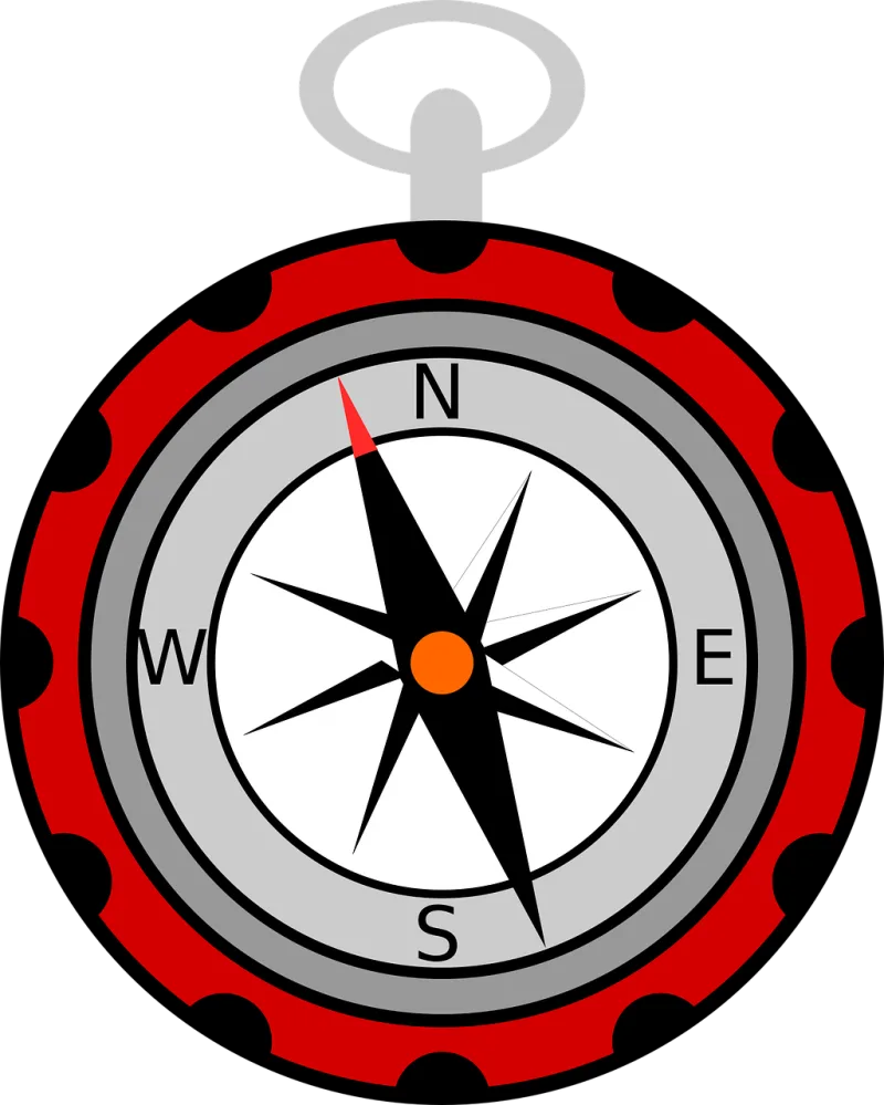 Compass Geography Navigation Stickdatei – Blumen