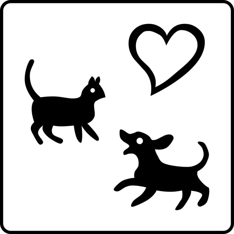 Cat Animal Pet Stickdatei – Tiere