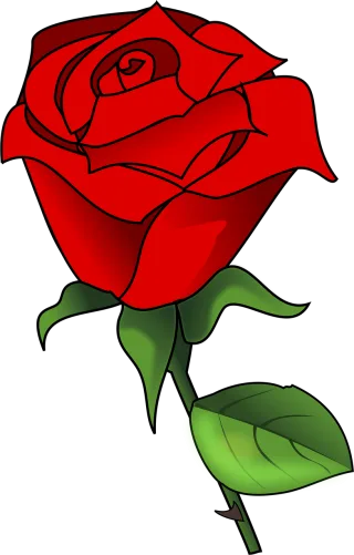 Rose Beautiful flowers Love Stickdatei