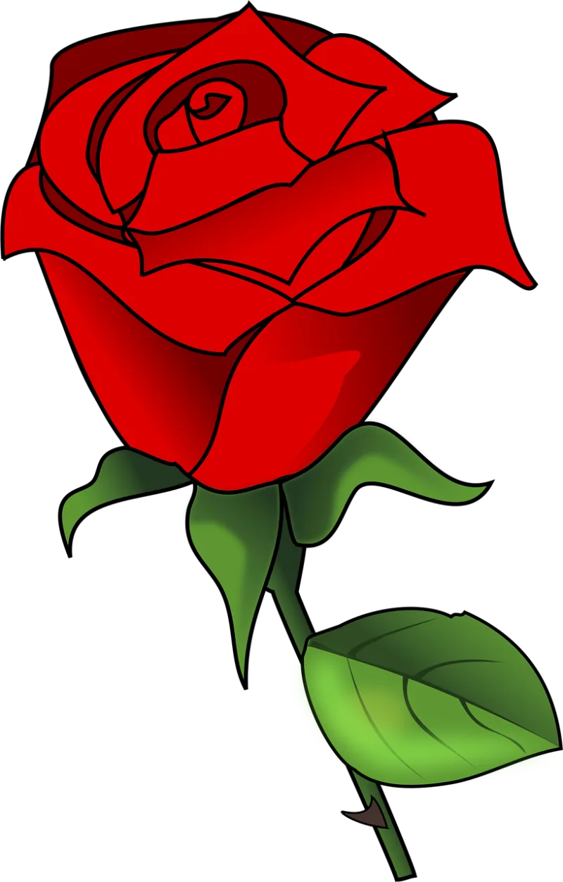 Rose Beautiful flowers Love Stickdatei – Blumen