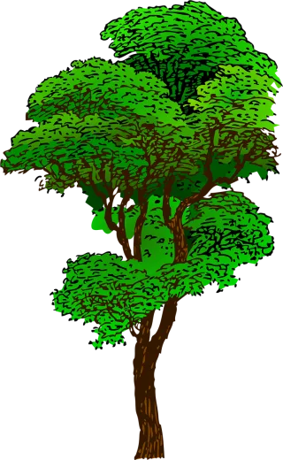 Tree Plant Ecology Stickdatei