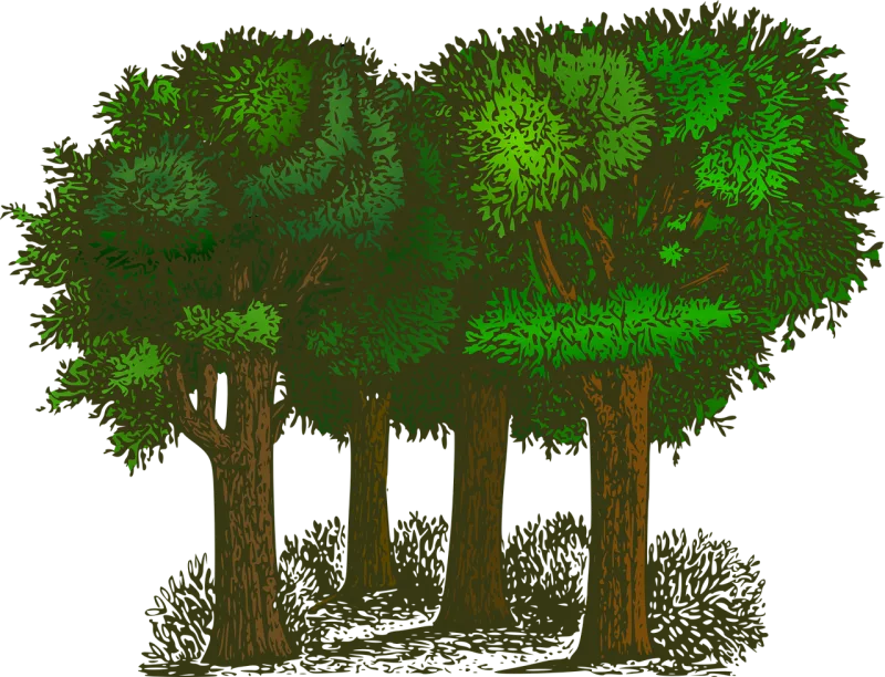 Forest Trees Plants Stickdatei – Natur