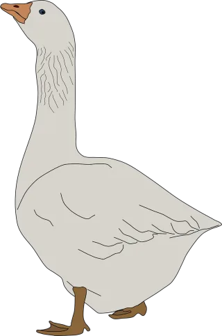 Animal Nature Bird Stickdatei