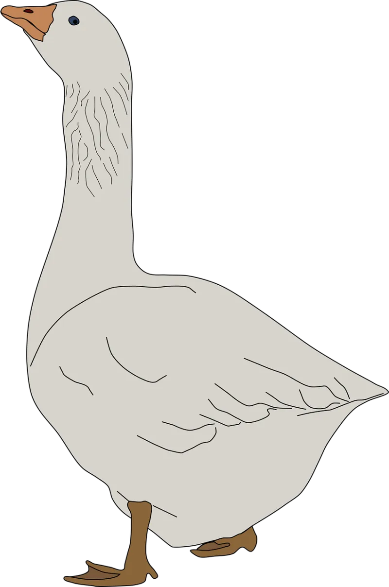 Animal Nature Bird Stickdatei – Tiere