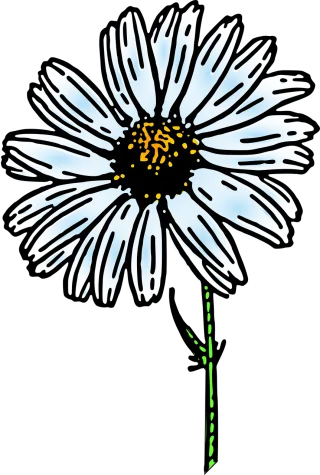 Daisy Beautiful flowers Flower wallpaper Stickdatei