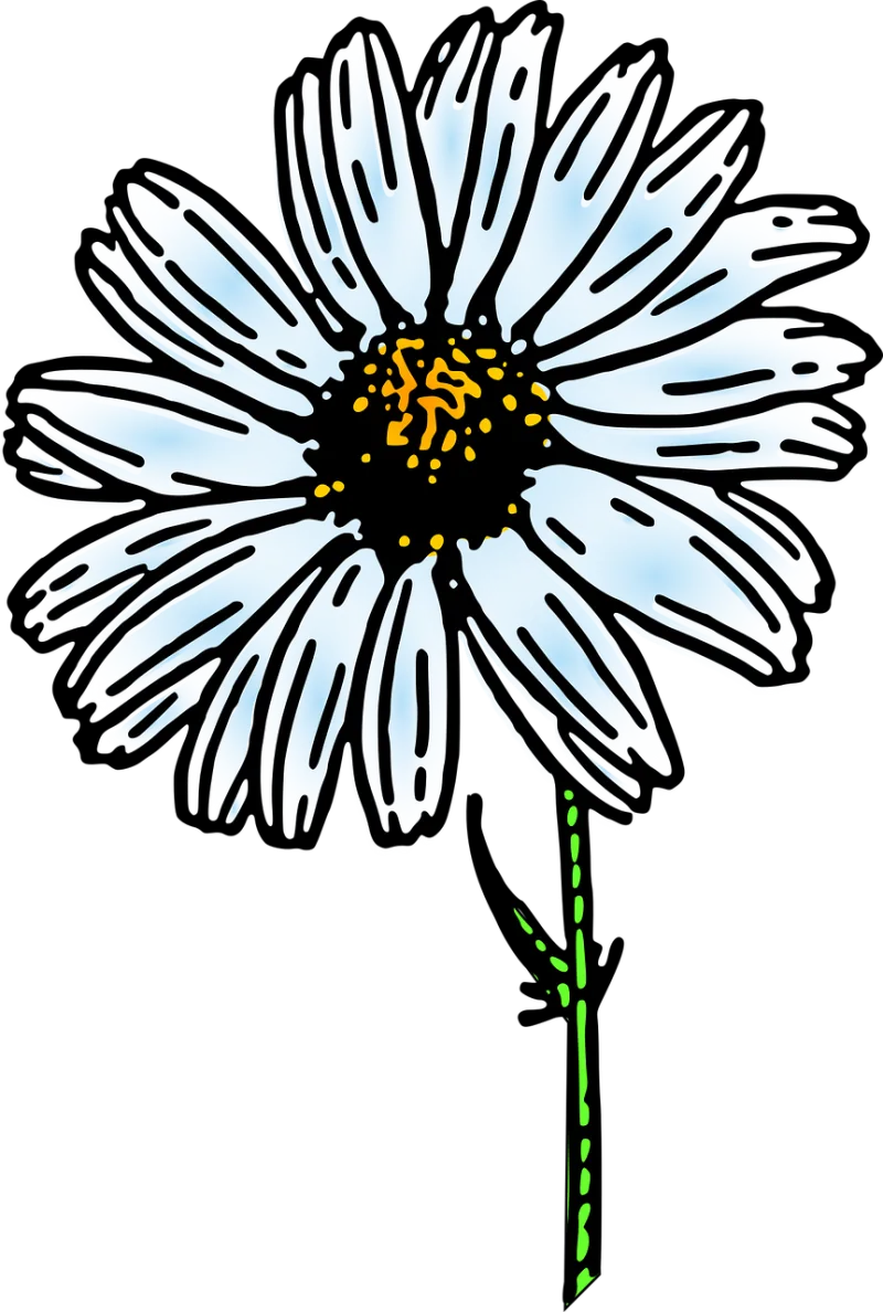 Daisy Beautiful flowers Flower wallpaper Stickdatei – Blumen