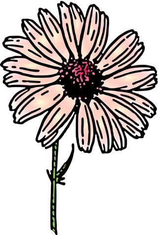 Daisy Flower Nature Stickdatei