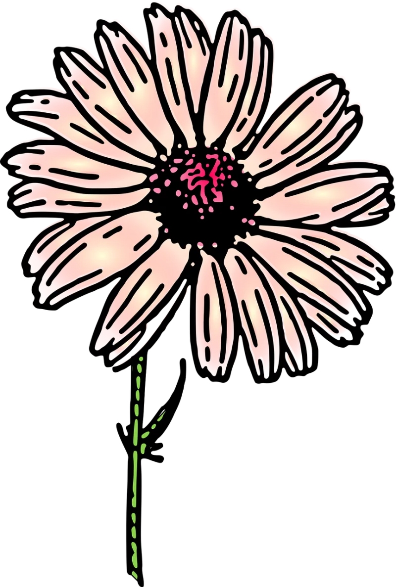 Daisy Flower Nature Stickdatei – Blumen
