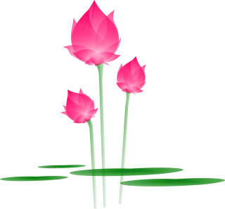 Lotus Flower Blossom Stickdatei