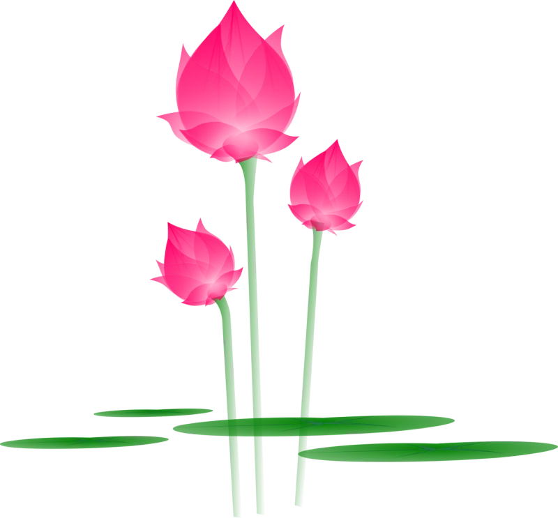 Lotus Flower Blossom Stickdatei – Blumen