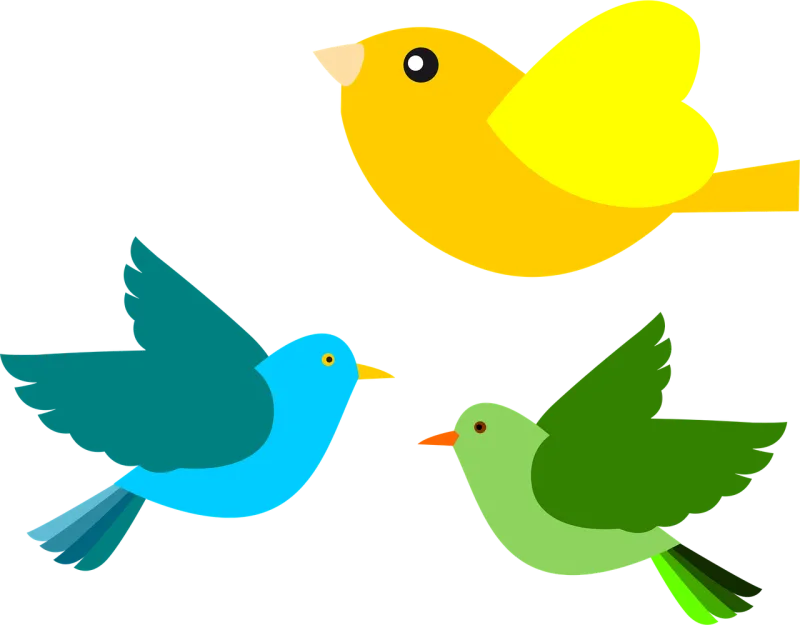 Aves Birds Flying Stickdatei – Natur