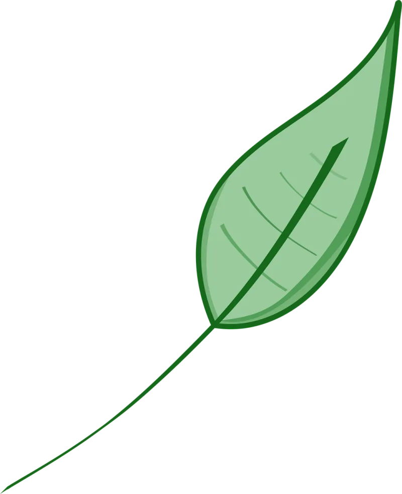 Leaf Nature Green Stickdatei – Natur