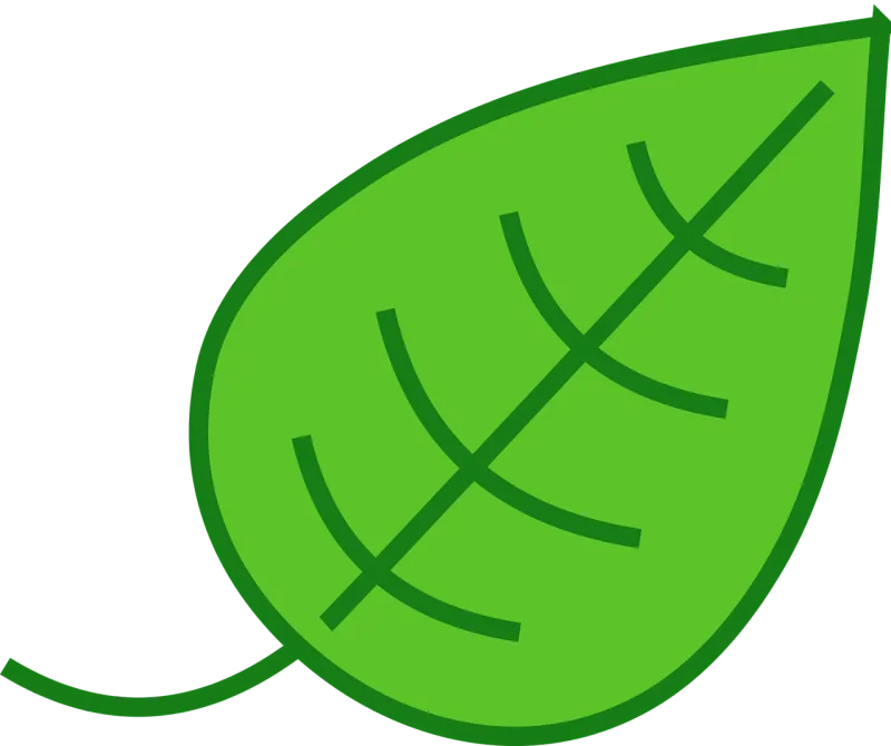 Leaf Nature Green Stickdatei – Natur
