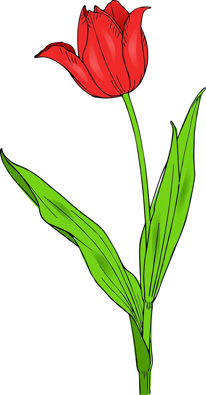 Tulip Flower Nature Stickdatei – Blumen