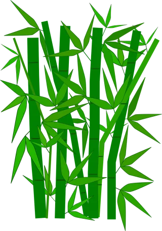 Bamboo Green Nature Stickdatei