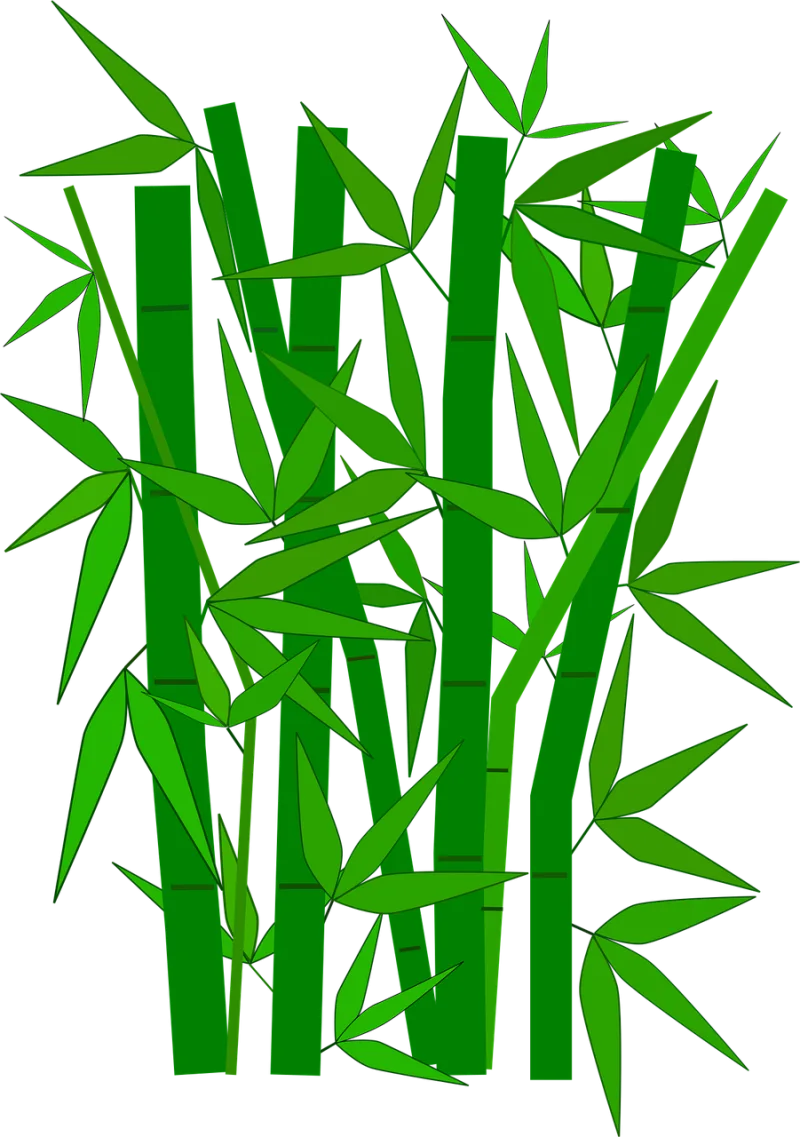 Bamboo Green Nature Stickdatei – Natur