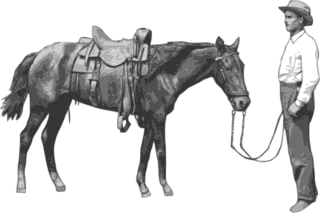 Cowboy Horse Gray Stickdatei