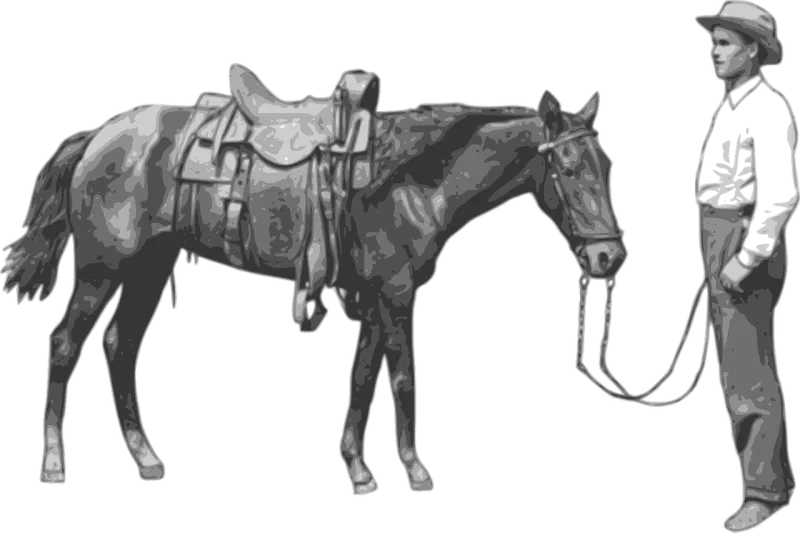 Cowboy Horse Gray Stickdatei – Tiere