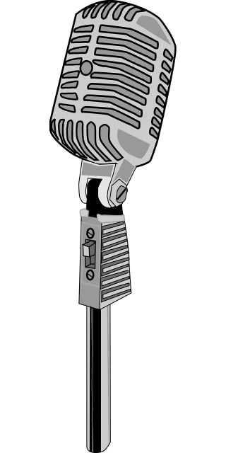 Karaoke Microphone Mic Stickdatei