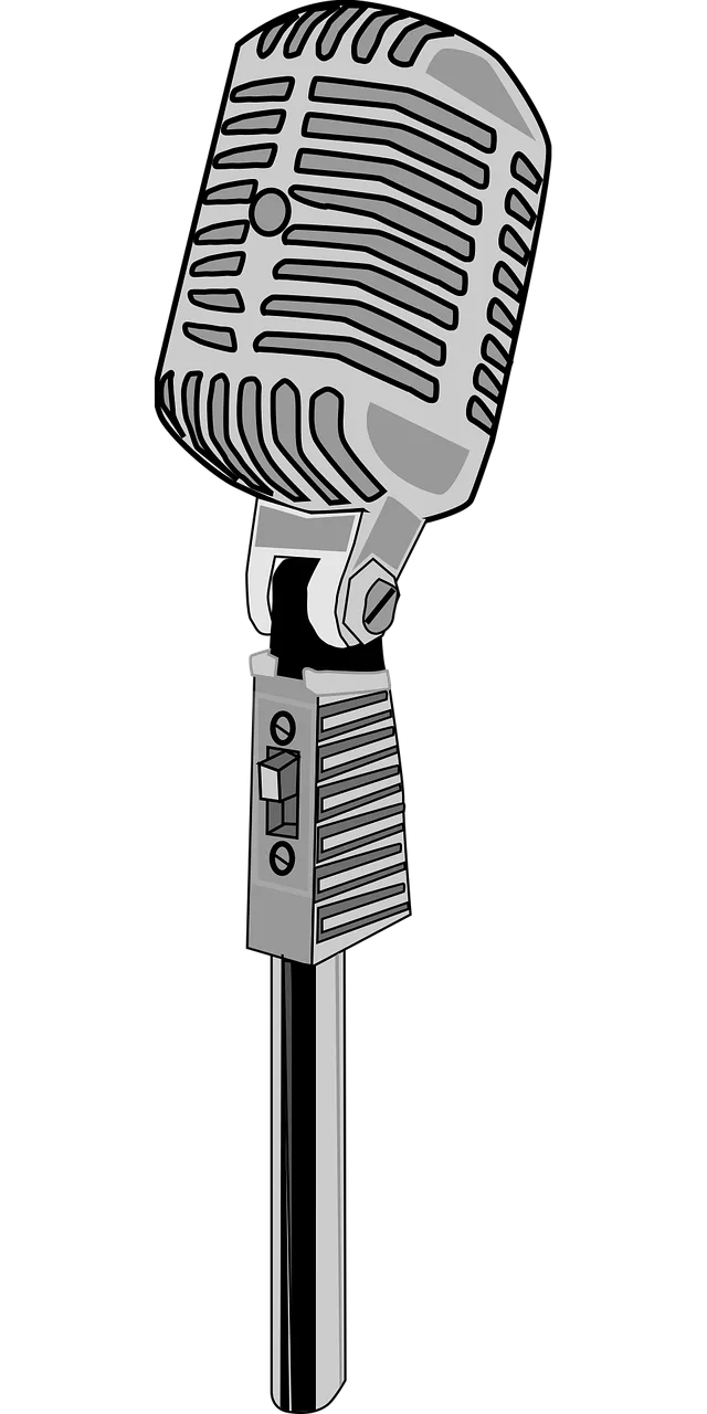 Karaoke Microphone Mic Stickdatei – Musik