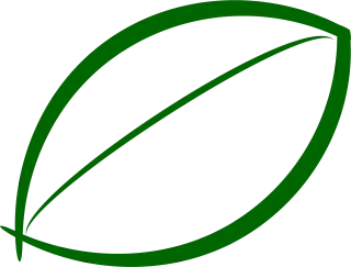 Leaf Biology Green Stickdatei
