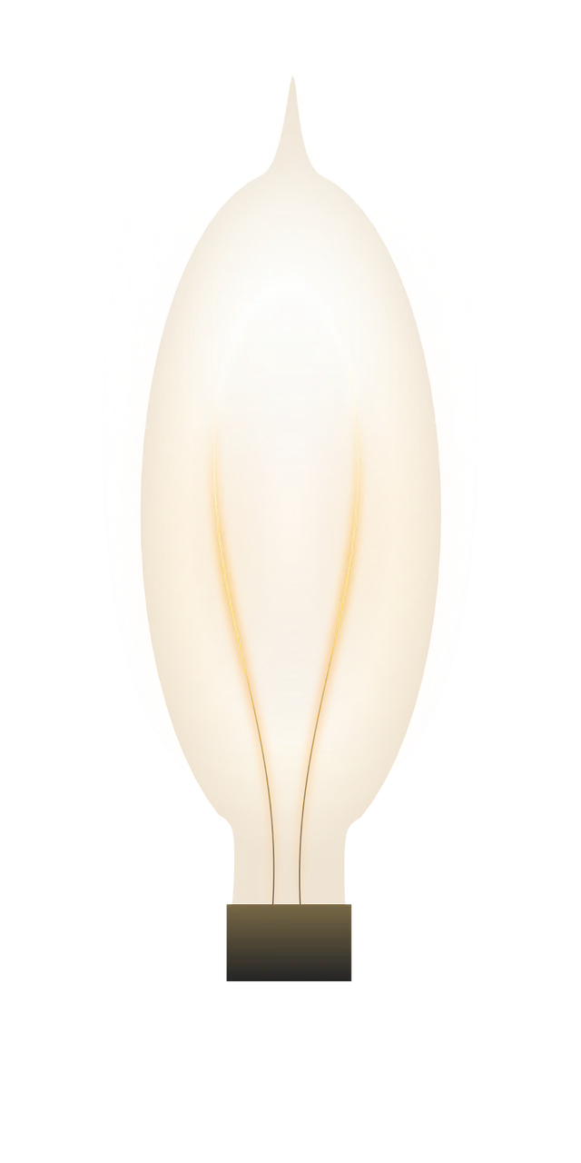 Bulb Thomas edison Light Stickdatei – Weihnachten