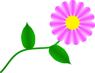 Fuchsia Beautiful flowers Daisy Stickdatei