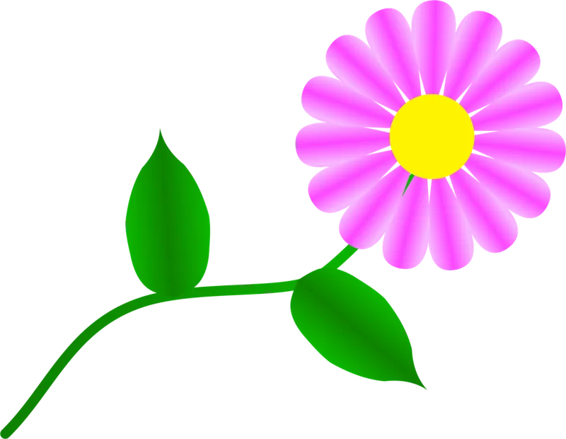 Fuchsia Beautiful flowers Daisy Stickdatei – Blumen