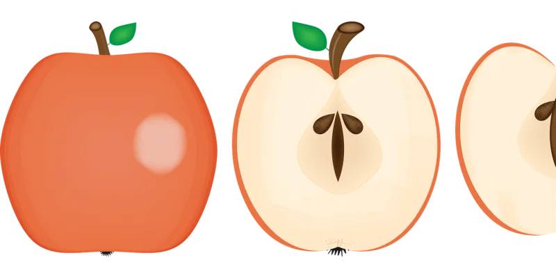 Apple Fruit Food Stickdatei – Essen & Trinken