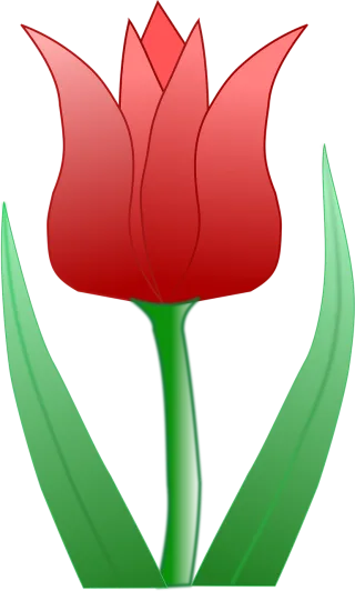 Tulip Blossom Nature Stickdatei