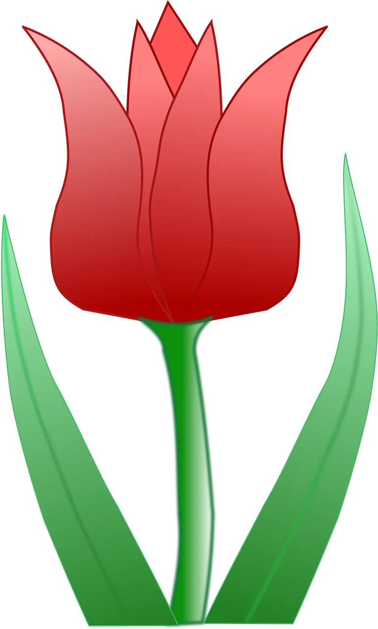 Tulip Blossom Nature Stickdatei – Blumen