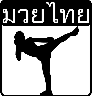 Martial arts Muay thai Thai boxing Stickdatei