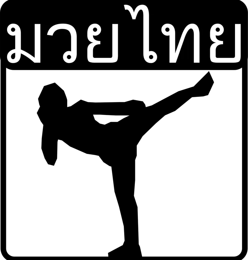 Martial arts Muay thai Thai boxing Stickdatei – Sport