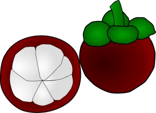 Mangosteen Fruit Exotic Stickdatei