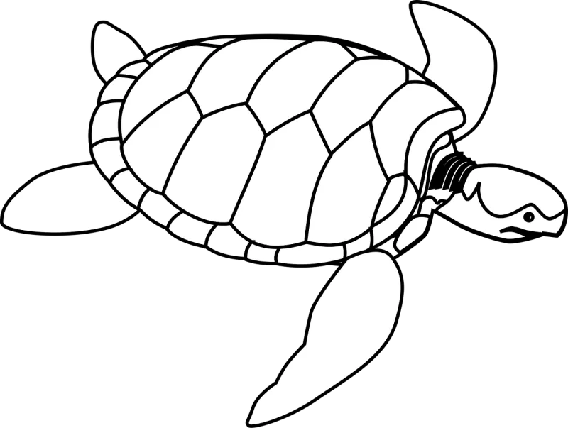 Turtle Animal Green Stickdatei – Tiere