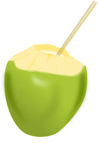 Coconut Fruit Beverage Stickdatei