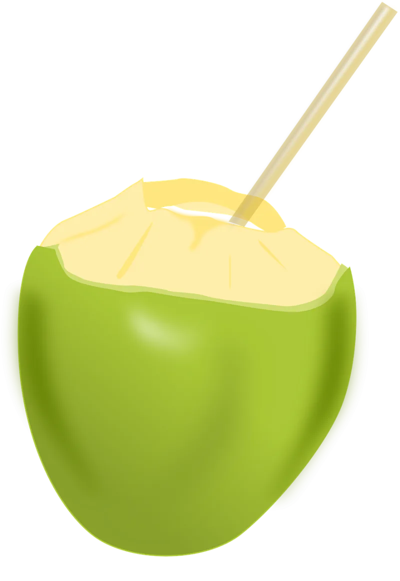 Coconut Fruit Beverage Stickdatei – Essen & Trinken