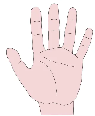 Hand Fingers Palm Stickdatei