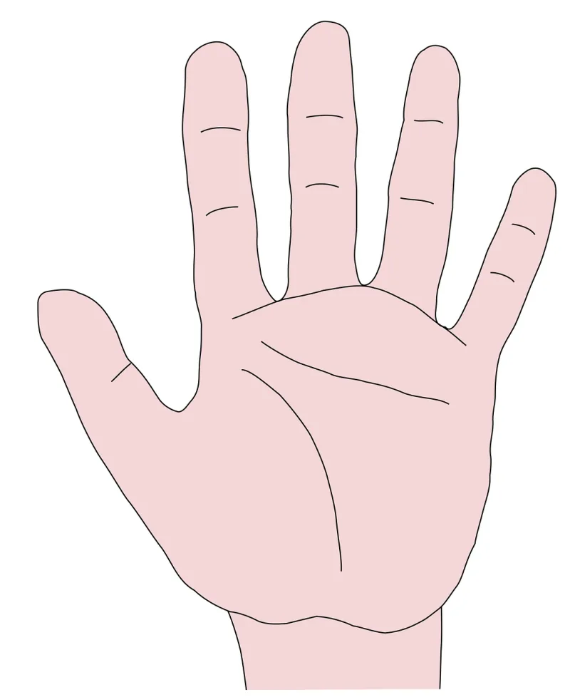 Hand Fingers Palm Stickdatei – Natur