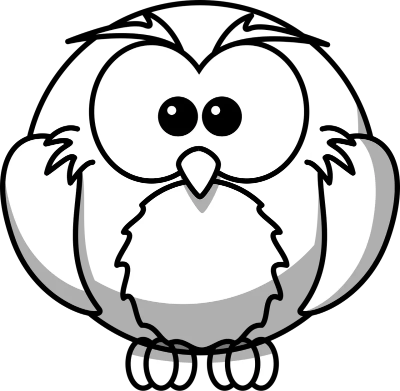 Bird Nature Owl Stickdatei – Tiere