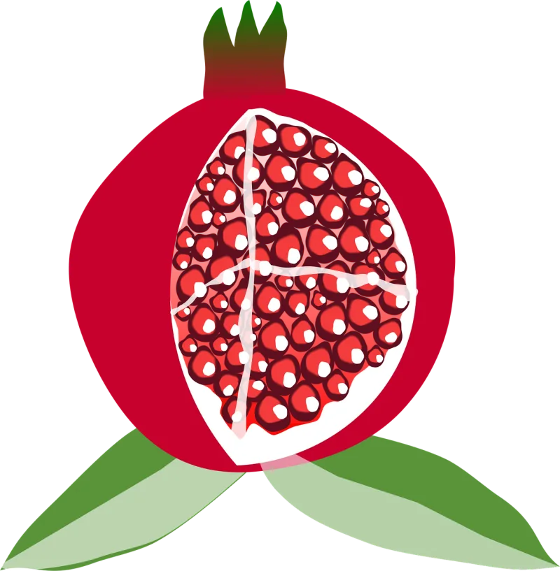 Pomegranate Fruit Cut Stickdatei – Essen & Trinken